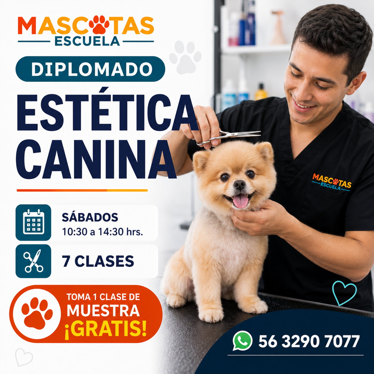 Diplomado Estética Canina